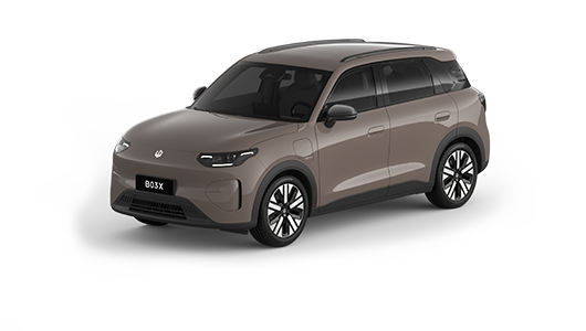 Leapmotor-B03X-Brown